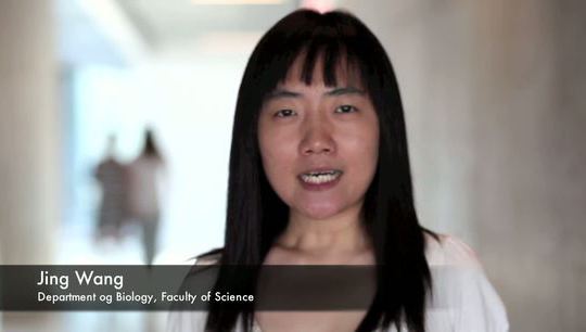 Meet our PhD students - Jing Wang - China
