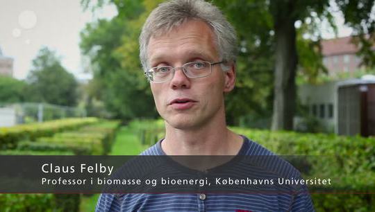 Claus Felby, Professor i biomasse og bioenergi