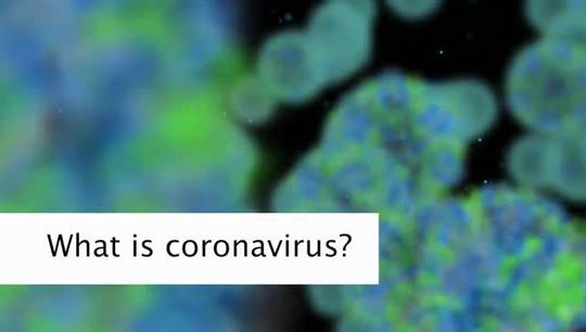 What is Corona Virus