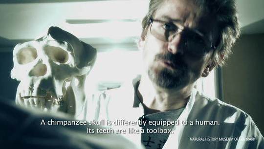 The Human Animal - Teeth and DNA