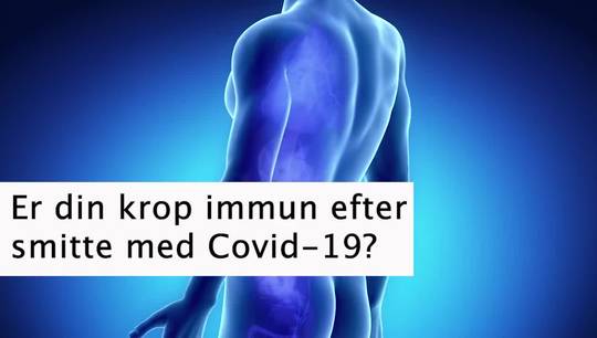 Er din krop immun efter smitte med Covid-19?