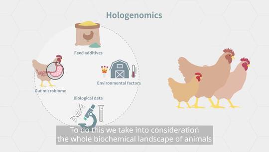 A hologenomic approach to sustainable food production