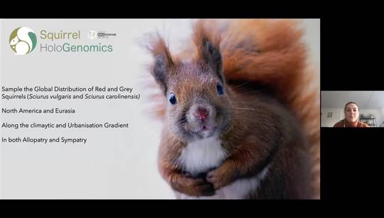The Earth Hologenome Initiative and Squirrel Hologenome project explained by postdoc Aoife Leonard.mp4