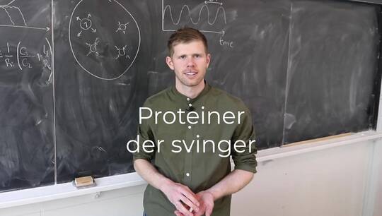 Mathias Heltberg om proteiner der svinger