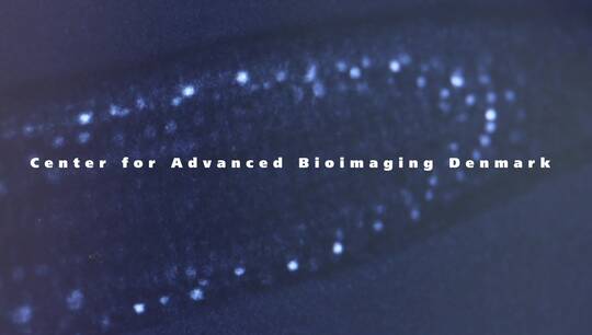 Center for Advanced Bioimaging Denmark