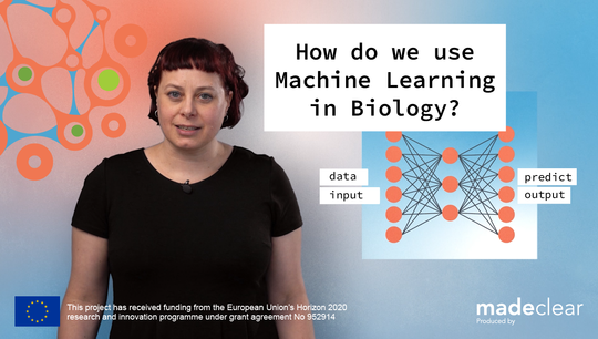 How Do We Use Machine Learning in Biology? Student video by FindingPheno.mp4