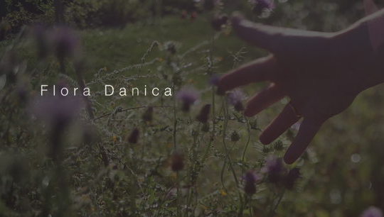 Tæt på Flora Danica
