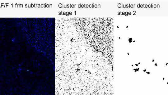 Cluster detection