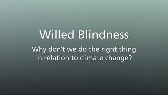 Willed Blindness